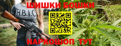 стафф Славгород